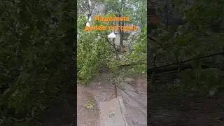 #череповец #вологда