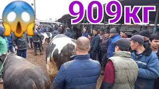 Ана моли калон савдо шуд охири бозорда