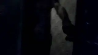Похищение полицейских.