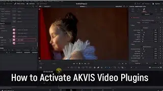 How to Activate AKVIS Video Plugins