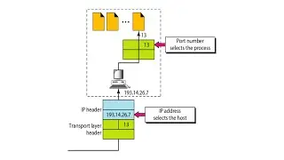 Transport Layer - Port Numbers