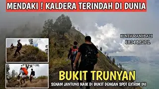 TERBARU ! PENDAKIAN BUKIT TRUNYAN | KINTAMANI BALI
