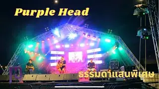 PURPLE HEAD - ธรรมดาแสนพิเศษ [LIVE หาดชื่นฤดี]