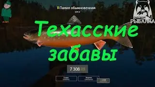 Русская рыбалка 4. Спиннинг на Куори с берега. Палия с причала на техасскую оснастку.