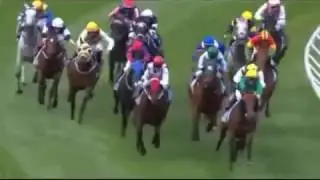 2014 Cox Plate Invitation