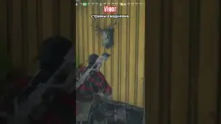 Vigor взял угрозу #vigorgame #vigor #вигор