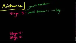 The Stages of Anesthesia: The Basics (Guedel's Classificaiton)