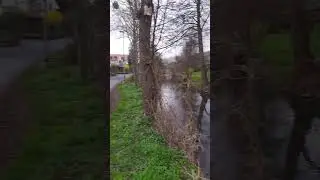Fish run in a small river, no one catches fish here