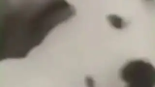 помял аппетитную булку