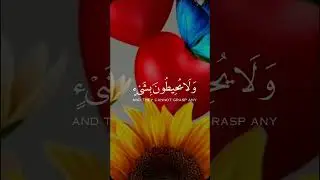 الله لا اله الا هو