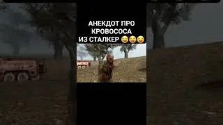 Анекдот про Кровососа из Сталкер #shorts #short #сталкеранекдот #сталкер #кровосос #тч