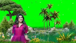 Green screen new year video 2022 green screen video green screen status