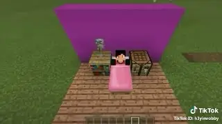 BEST Minecraft Tik Tok Compilation