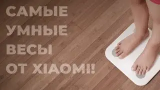 ЛИЧНЫЙ ВРАЧ: УМНЫЕ ВЕСЫ XIAOMI MI SCALE 2!