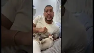 Mi esposa le gusta dormir con las mascotas.