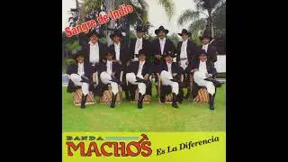 Banda Machos SANGRE DE INDIO