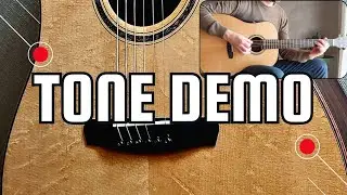 Dowina Master Series Palosanto SPM Custom Dreadnought 