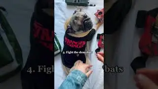 How to give your dog a Stranger Things massage!! 🎸🔦 