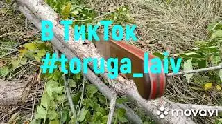 Казак казакам привет @askoldViking