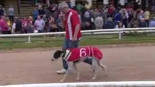 2015 RED MILLS Juvenile Semi Finals