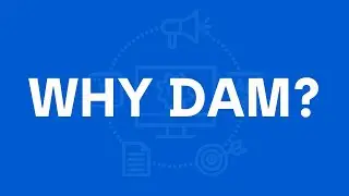 Why you should want to work in digital asset management