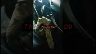 Рычаг газа и ручки снегохода можно обмотать тактической лентой. Тогда руки не будут мерзнуть.