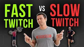 Which Muscle Type is BEST for YOU?