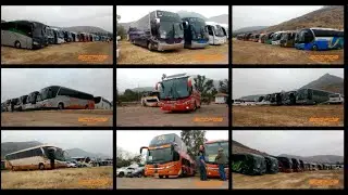 [Buses en servicio especial] - Peregrinación Santa Teresa de los Andes 2024