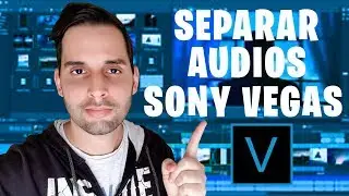 how to SEPARATE the AUDIO of a VIDEO in SONY VEGAS