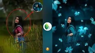 Snapseed Flower Concept Photo Editing | Snapseed New Colour Grading Effect | HCN Editing
