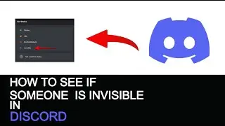 How to See if Someone is Invisible on Discord 2024 (BEST METHOD)