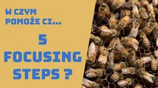 #2 5 Focusing Steps - Teoria Ograniczeń w Praktyce