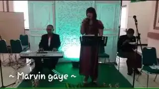 Tiara larasandi - Marvin gaye (cover)