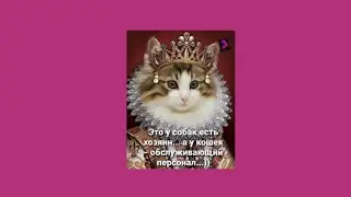 Смешные анекдоты!