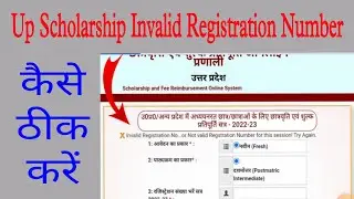 up scholarship we are sorry problem 2024 | up scholarship invalid registration number problem 2024