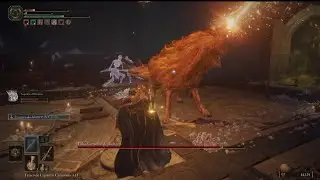 Lobo Vermelho de Radagon_ #bossfight #eldenring #like #viral #ps5 #gameplay #eldenringgameplay
