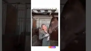 WHY GIRLS LOVE HORSE #shorts #youtubeshorts