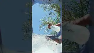 PRO Odor Eliminator Eucalyptus Scent