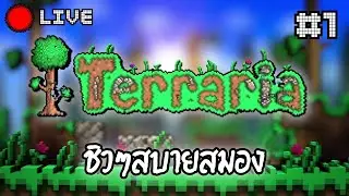 Live🔴Terraria | เกมที่ชิวที่สุดในโลกกก #1