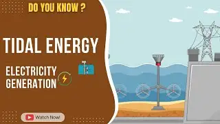 Tidal Energy: Clean Power from Ocean Currents! 
