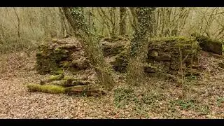 gopro 6 protune + fatbike  - Protune LUT adobe premiere pro 2019 - Schifflinger Berg