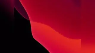 Фишка для iPhone