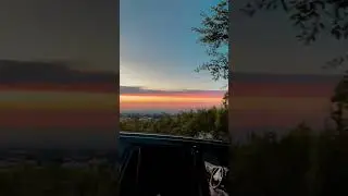 Кислая вишня в Алмате ￼