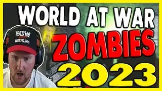 THIS IS CALL OF DUTY WORLD AT WAR ZOMBIES IN 2023! 