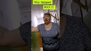 Что творит ЖКХ