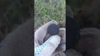 Я в восторге от такой красивой монеты #metaldetecting #монеты #коп #coin #кладоискатель #garrett