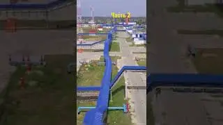 Как устроена политика 