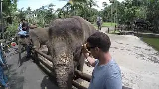 Bali 2019