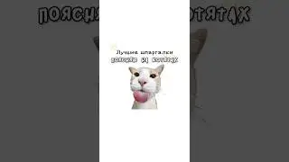 The best cheat sheets