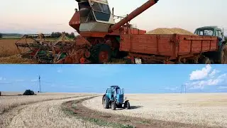 Положение дел хозяйства за сезон 2022. Конец уборочной страды. 2022.